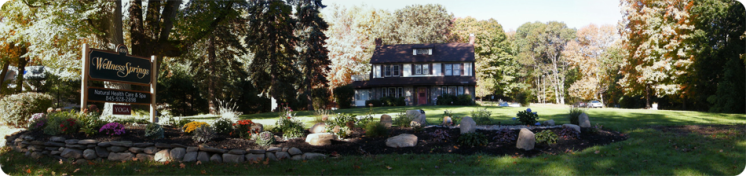 Wellness Springs Pic